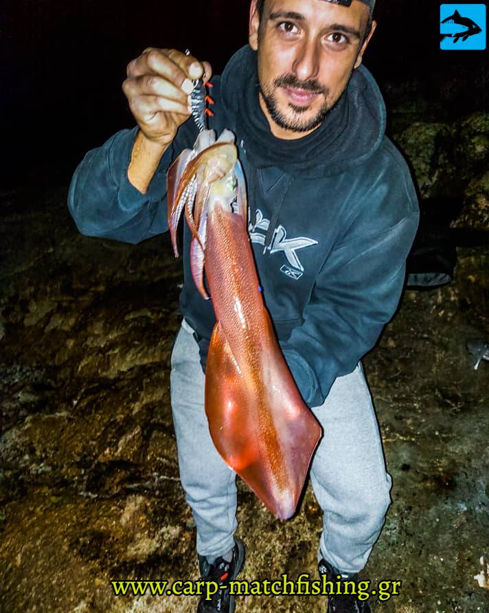 eging kalamari kalamariera carpmatchfishing