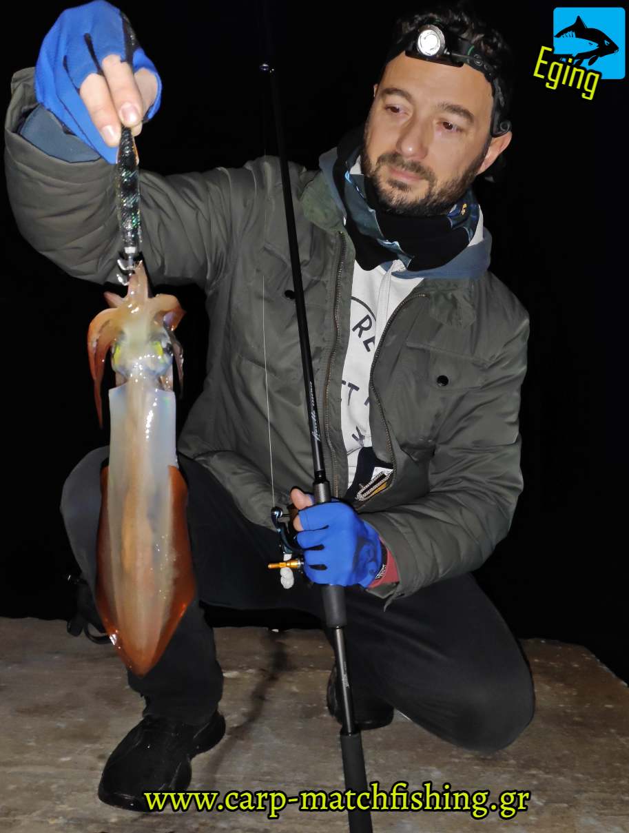 eging squid kalamari molix fioretto essence rod carpmatchfishing