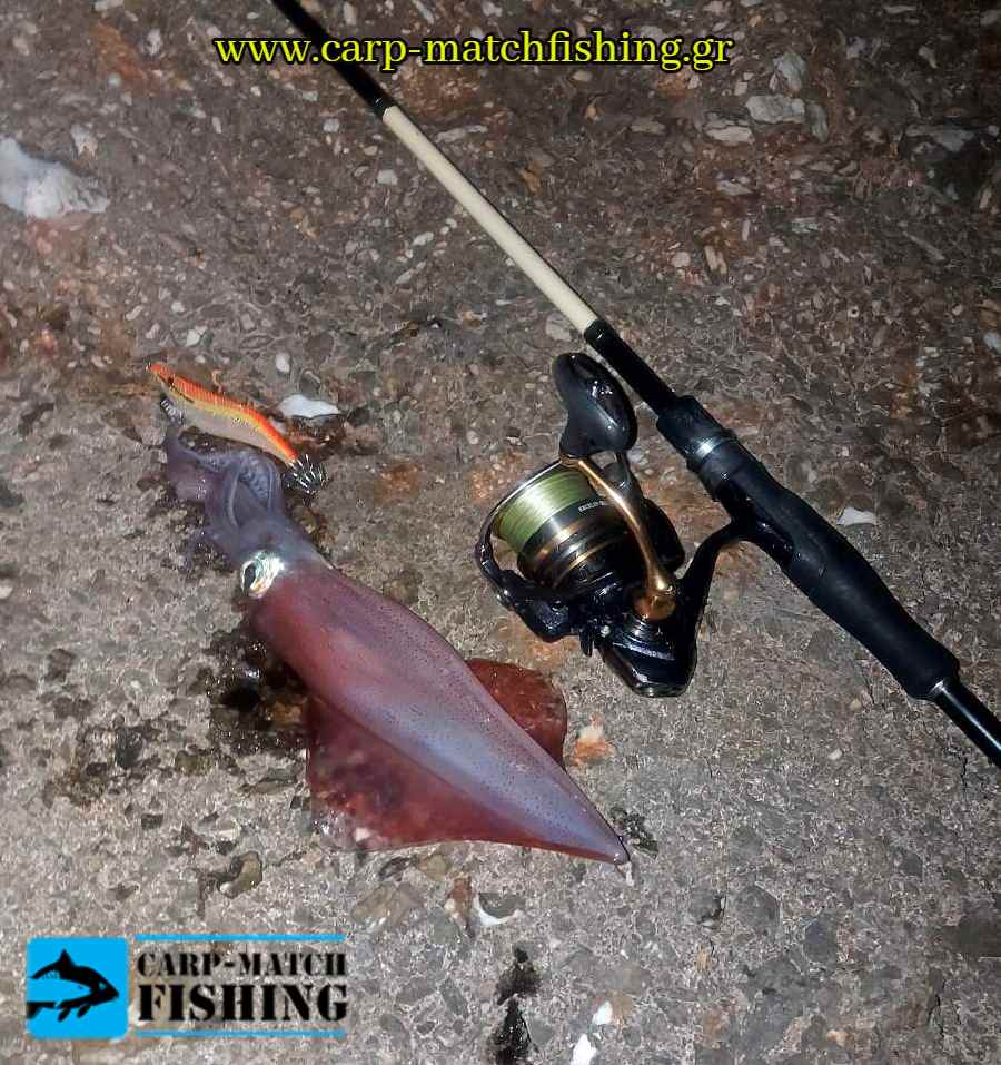 squid carpmatchfishing