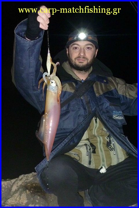 eging-squid