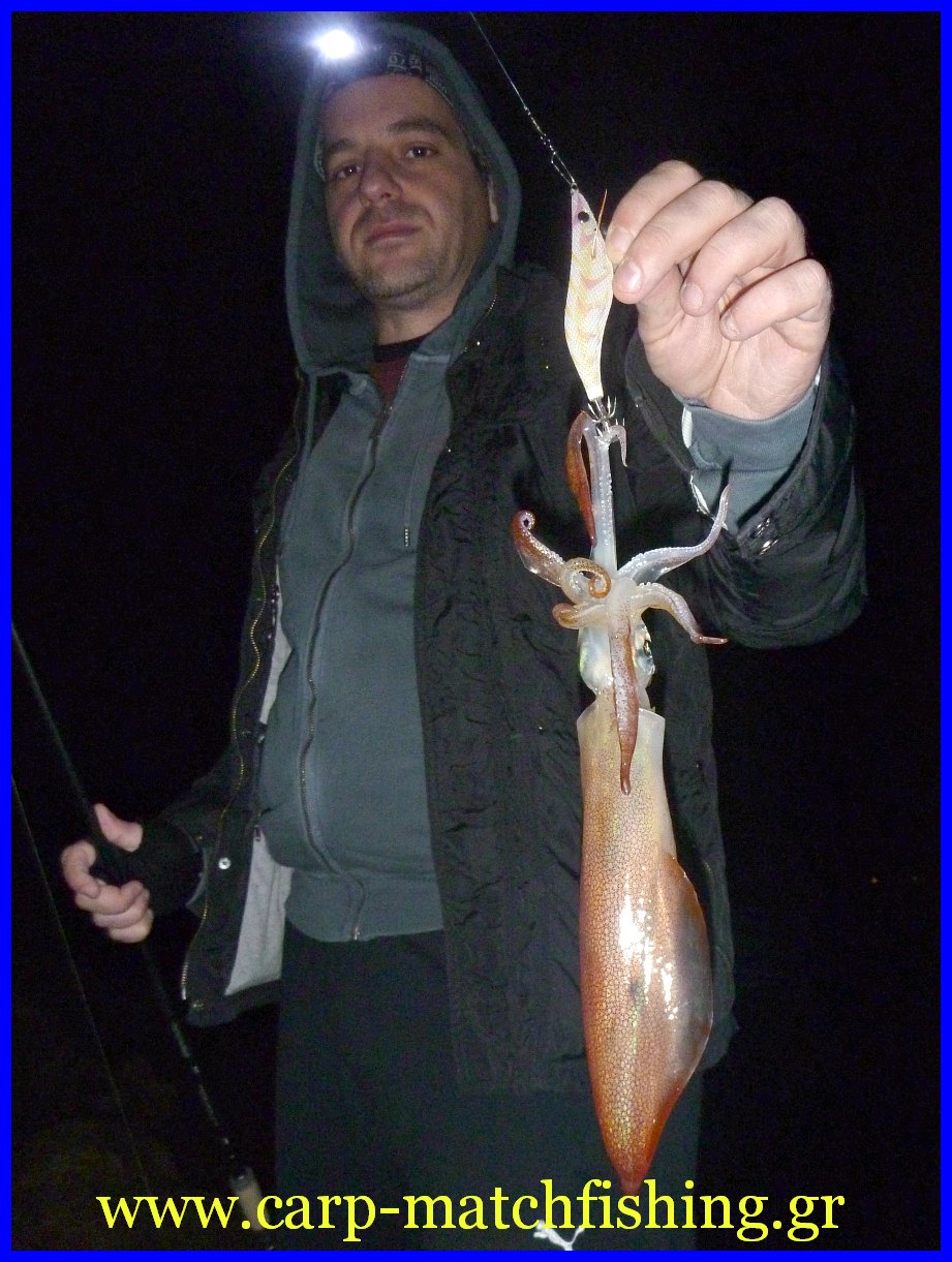 eging-themis-carp-matchfishing-gr