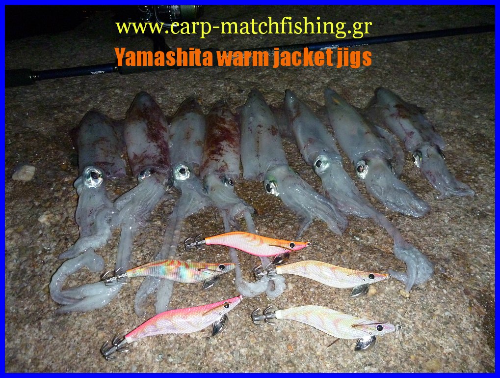 yamashita-eging-all-squids