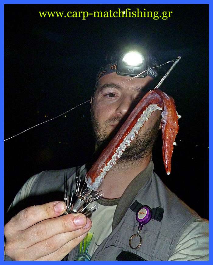 www.carp-matchfishing.gr. To ψάρεμα του θράψαλου με την τεχνική του eging