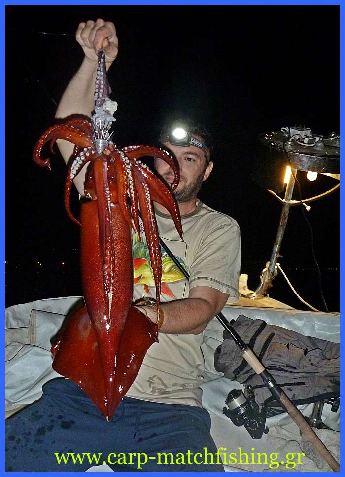 www.carp-matchfishing.gr. To ψάρεμα του θράψαλου με την τεχνική του eging