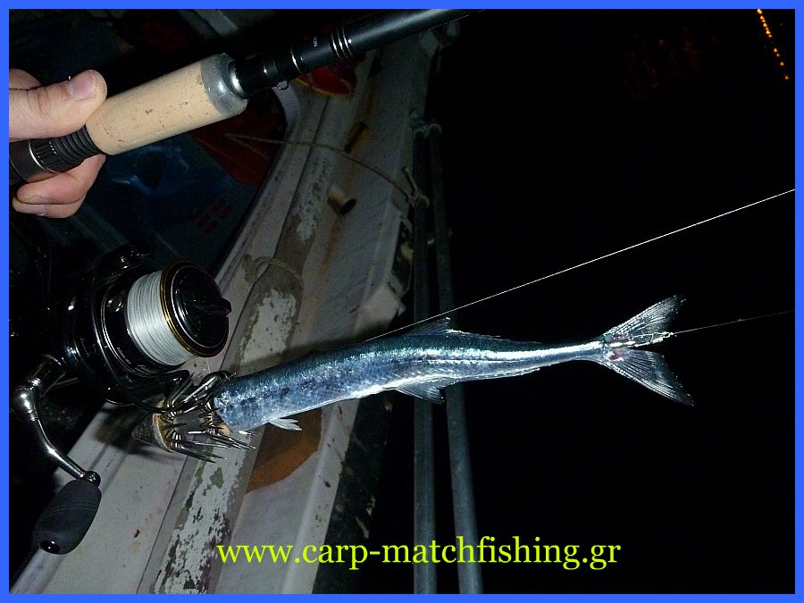 www.carp-matchfishing.gr. To ψάρεμα του θράψαλου με την τεχνική του eging