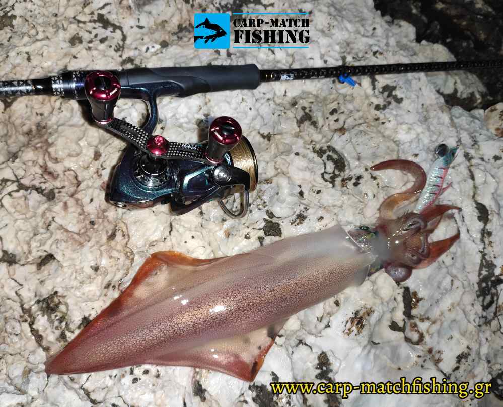 eging kalamari carpmatchfishing