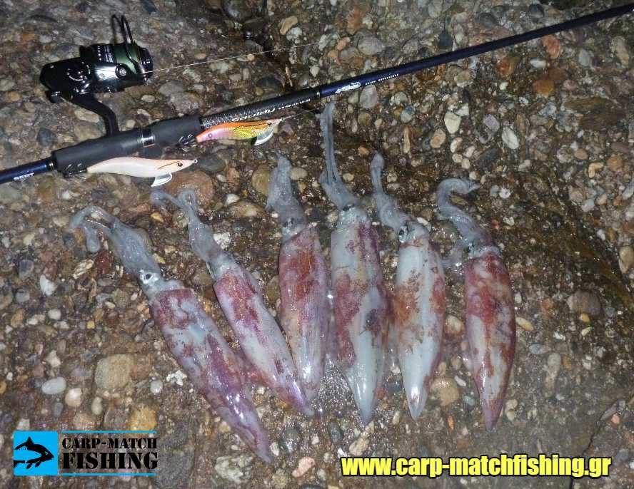 evergreen kalamarieres uv carpmatchfishing