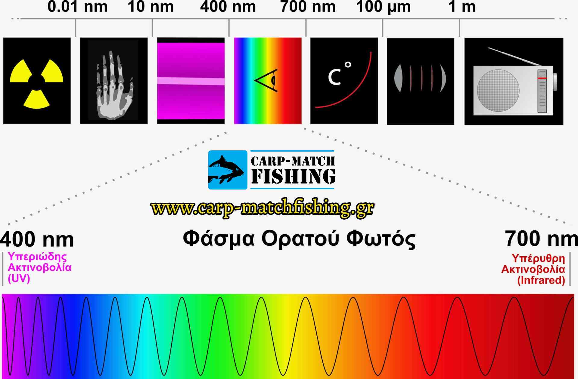fasma uv eging spectrum carpmatchfishing