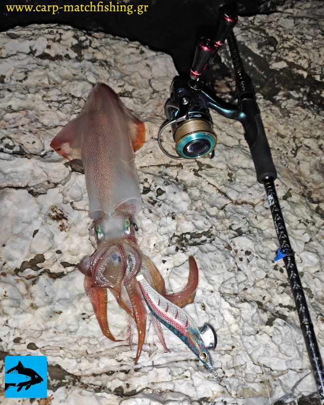 neon bright yamashita eging carpmatchfishing