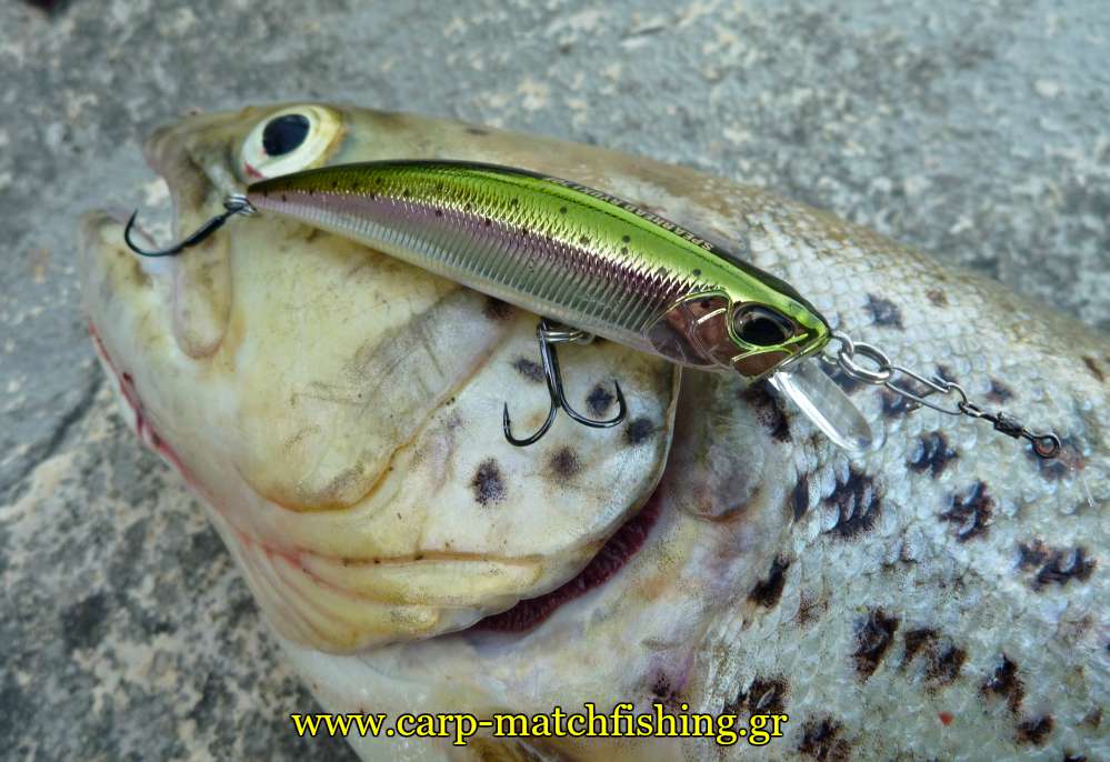 trout-fishing-ryuki-broken-tremble-hook-carpmatchfishing
