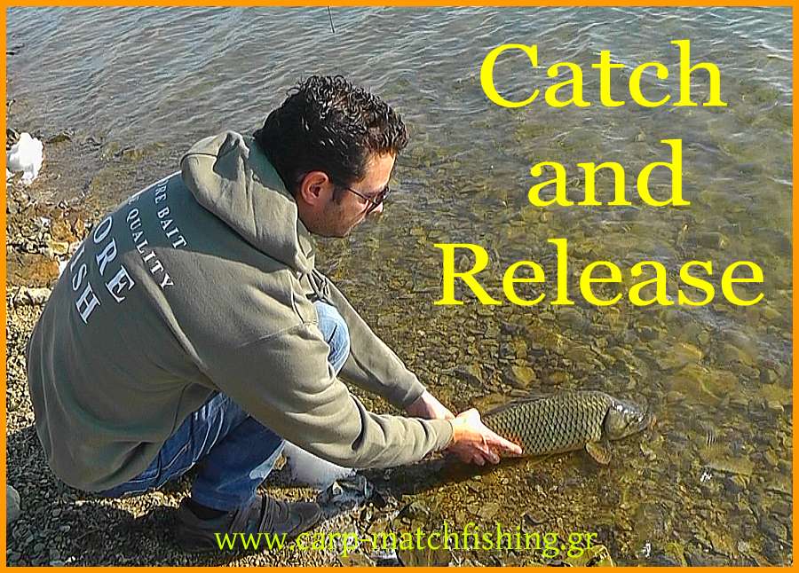 www.carp-matchfishing.gr. Catch and release