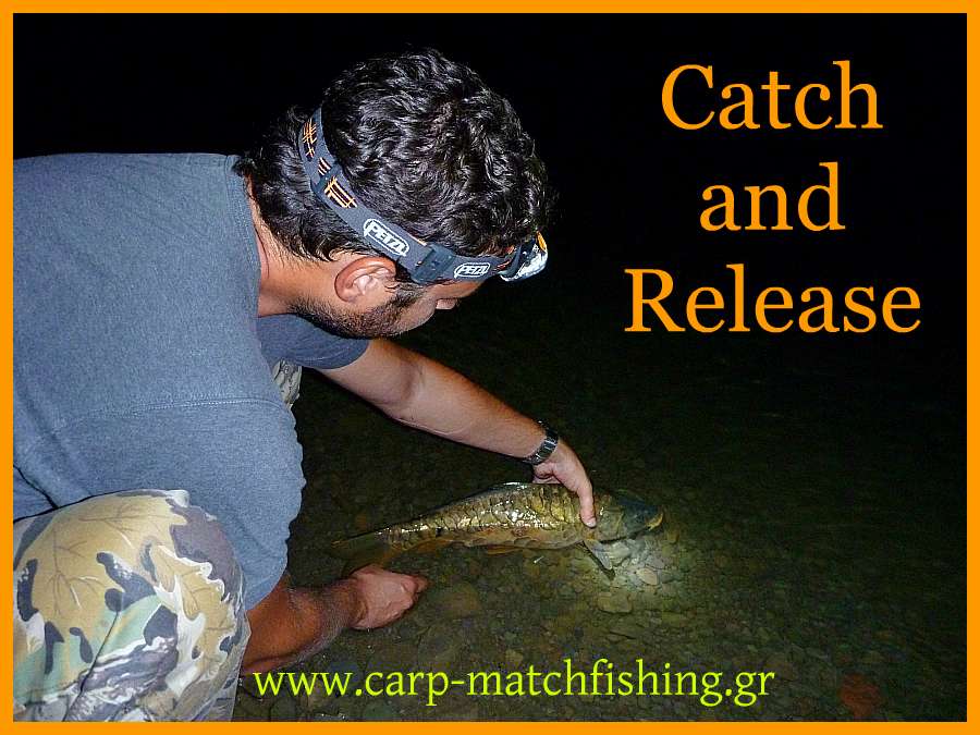 www.carp-matchfishing.gr. Catch and release