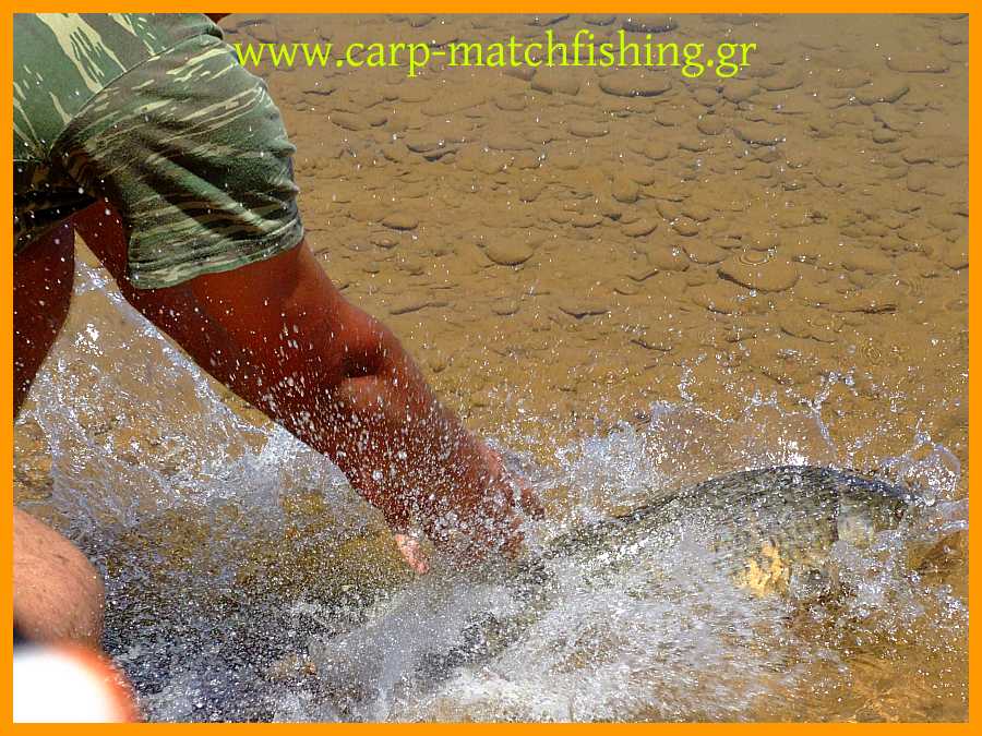 catch and release plastira.jpg