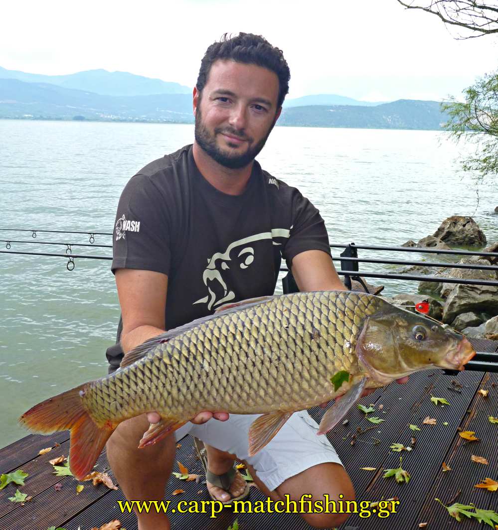 carp-fish-sfaltos-carpmatchfishing