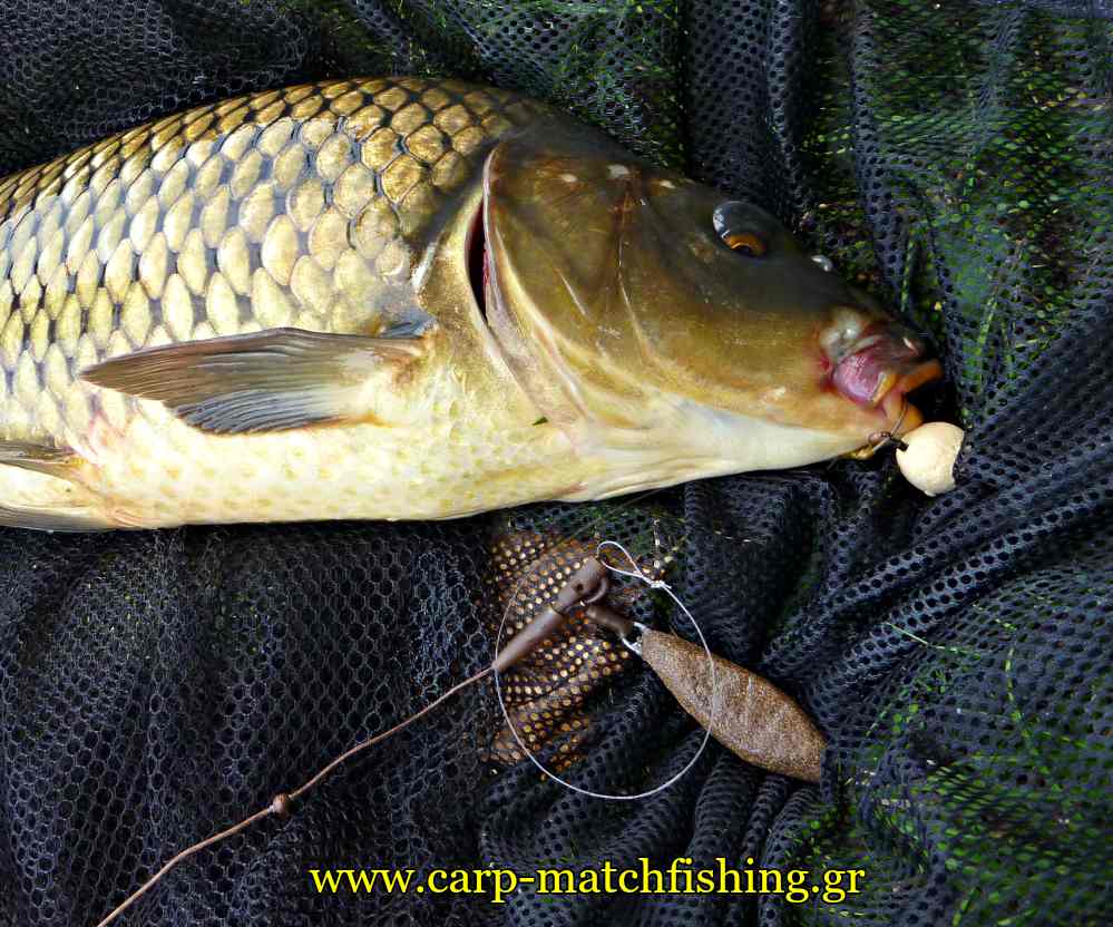 shocker-lead-system-with-safety-lead-clip-carp-carpmatchfishing