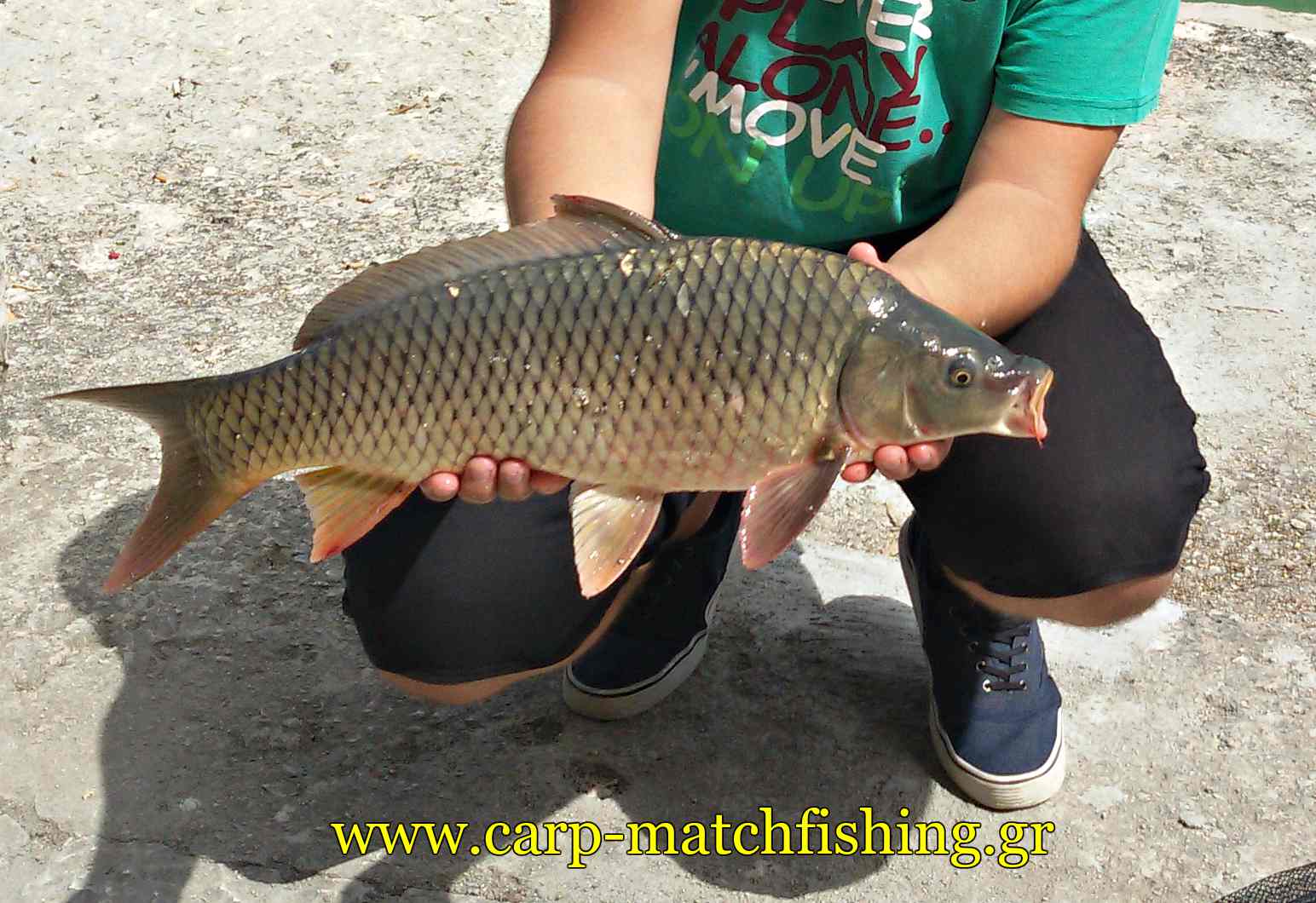 carp-short-sessions-carpmatchfishing