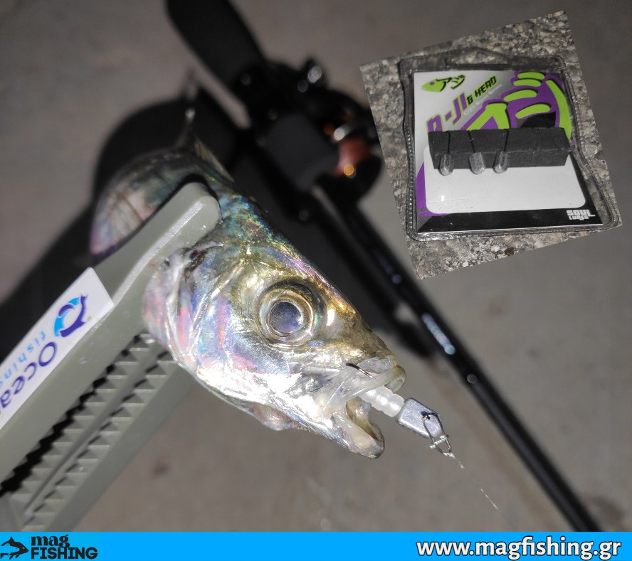 ajing flat jigheads aji soul lures magfishing.gr