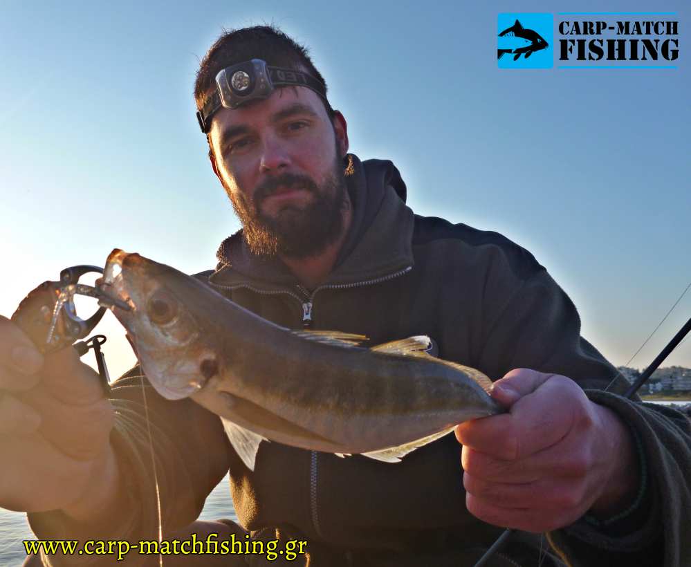 kokkali pap griper silikoni lrf carpmatchfishing
