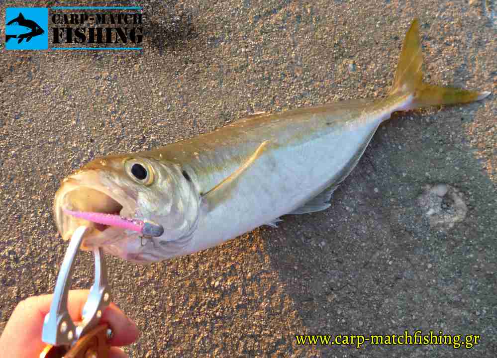 silikoni roz kokkali lrf carpmatchfishing