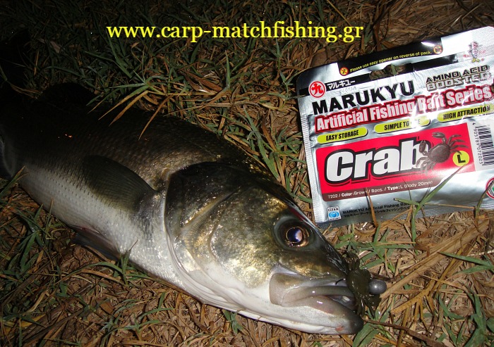lavraki-light-rock-fishing-crabs-marukyu