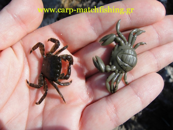 light-rock-fishing-crabs-carp-matchfishing.gr