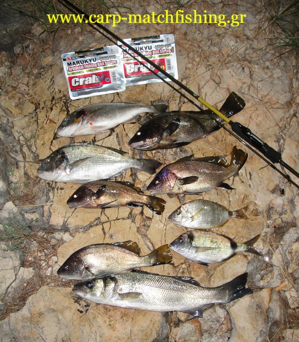 lightrockfishing-allfishes-carp-matchfishing.gr