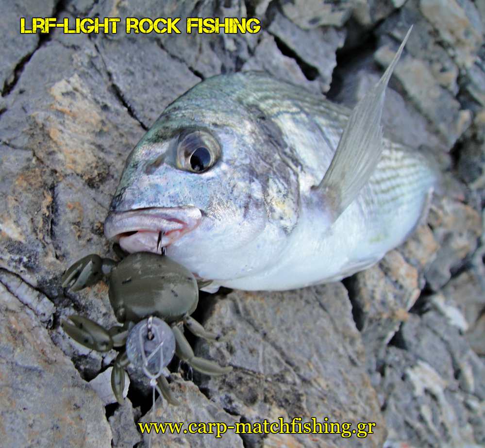 light-rock-fishing-lrf-crab-carpmatchfishing