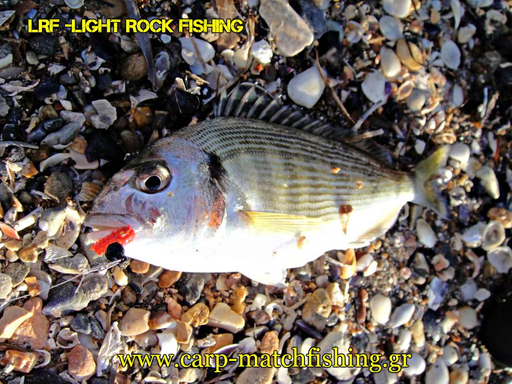 lrf-tsipoures-crabs-light-rock-fishing-carpmatchfishing