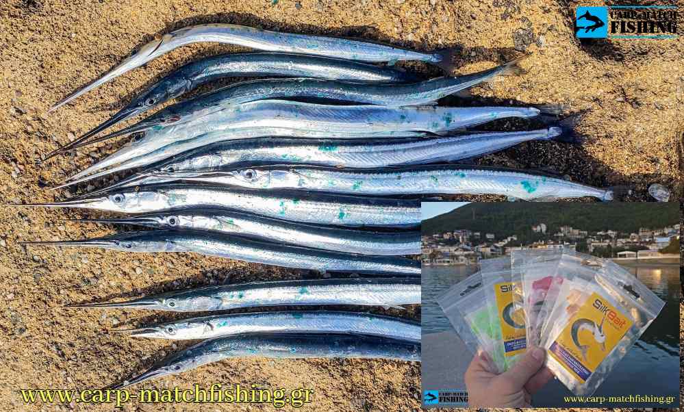 Zarganes kai matacines carpmatchfishing