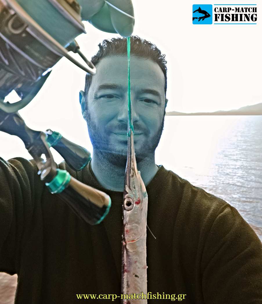 matacina green lrf zargana carpmatchfishing