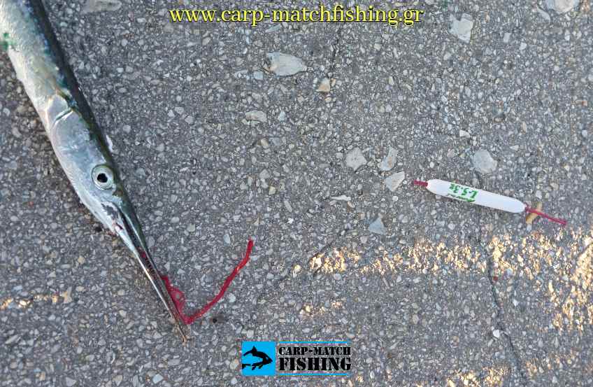 zargana bombarda matacina lrf carpmatchfishing