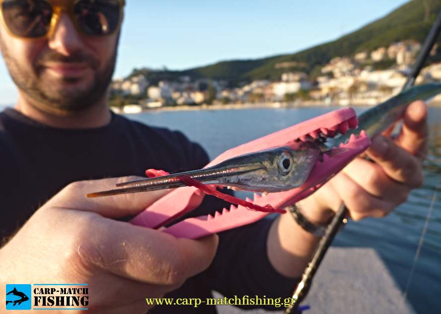 zargana close matacina lrf carpmatchfishing