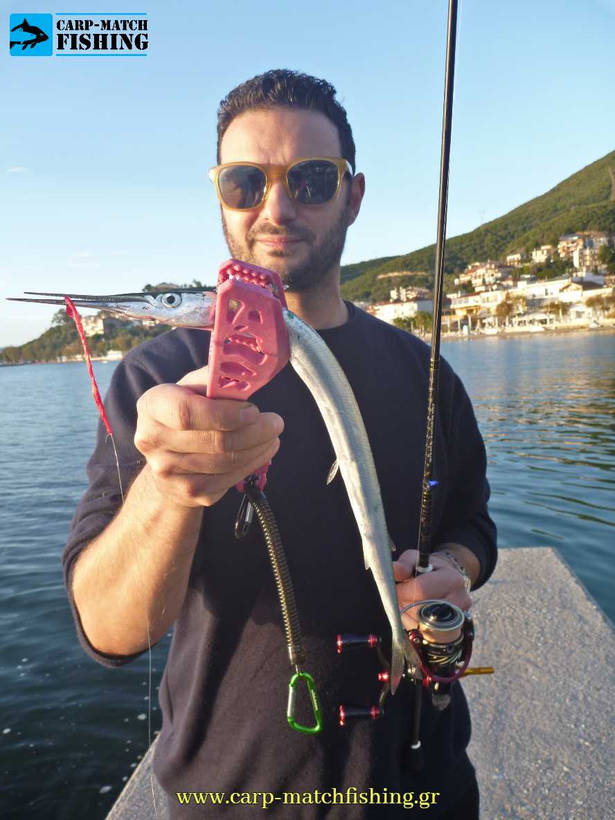 zargana lrf matacina sfaltos carpmatchfishing