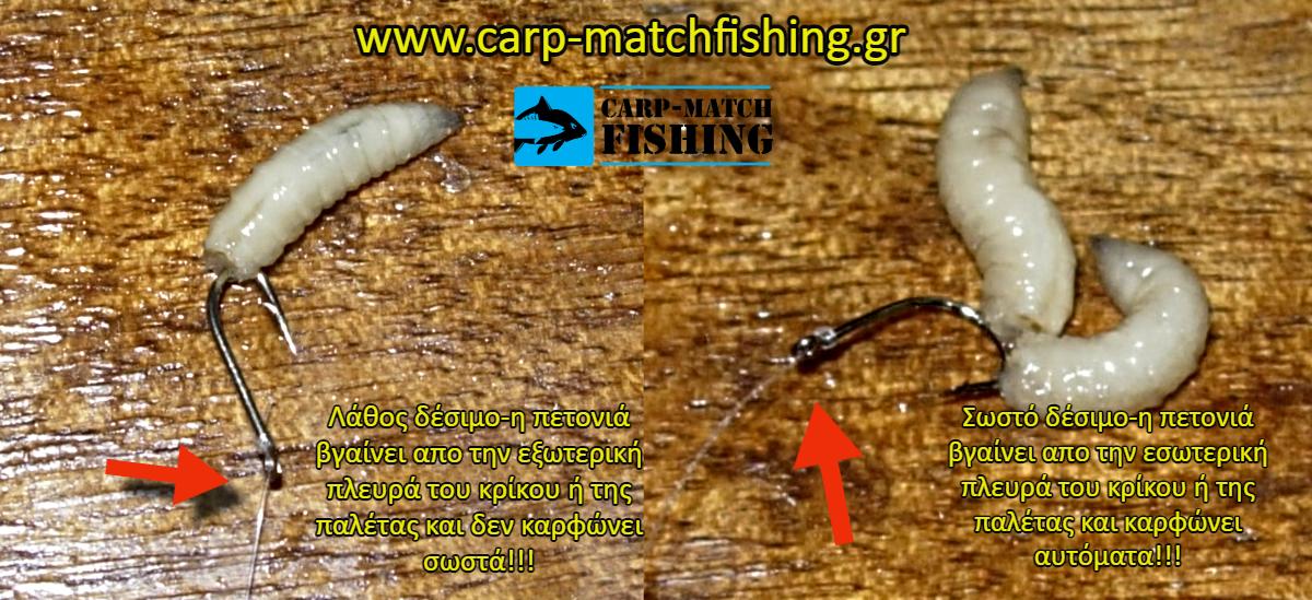 agkistria sosto desimo me kriko i paleta carpmatchfishing