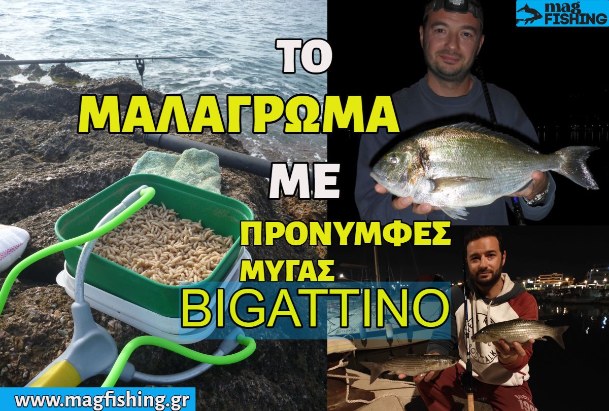 to malagroma me bigattino pronimfes migas stin texniki me fello match waggler fishing magfishing.gr 1