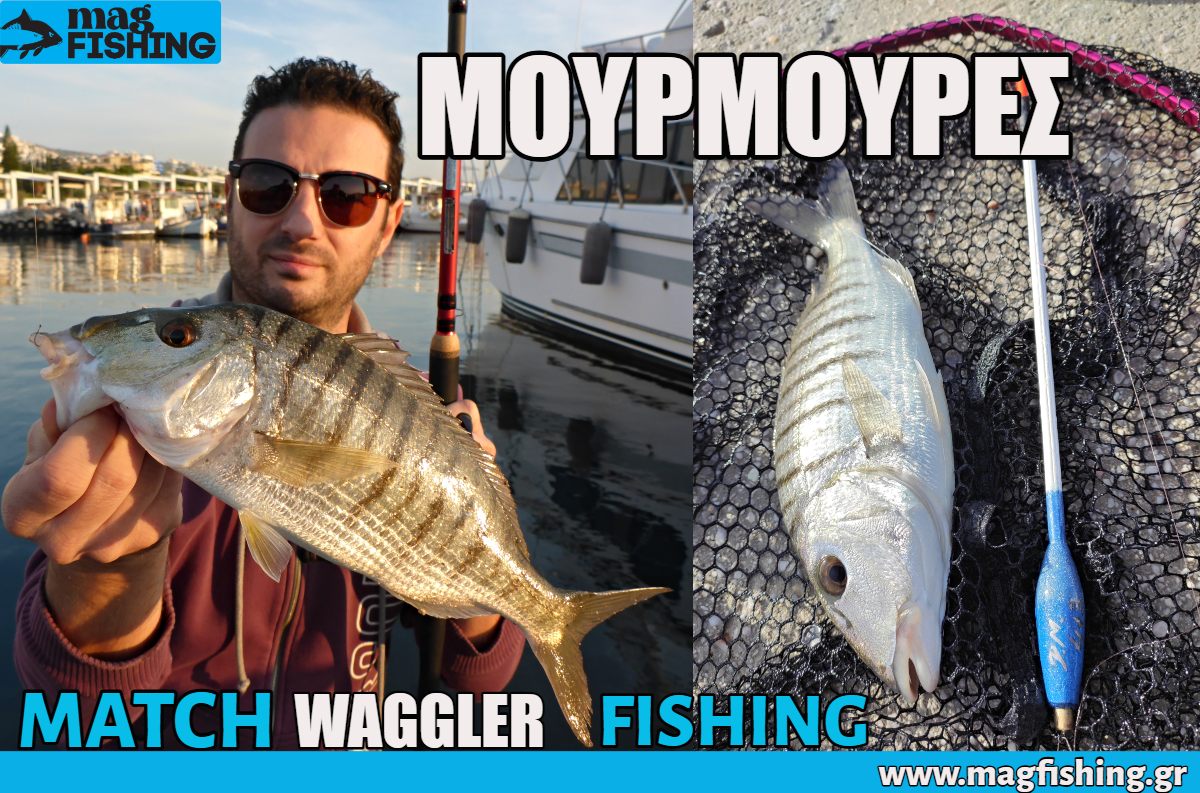 To psarema tis mourmouras me fello match waggler fishing magfishing.gr 1