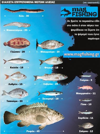 elaxista epitrepomena oria psarion megethi alieias magfishing.gr