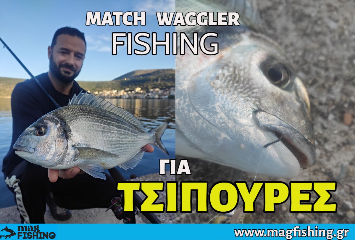 to eksidikeumeno psarema tis tsipouras me fello match waggler fishing magfishing.gr 1