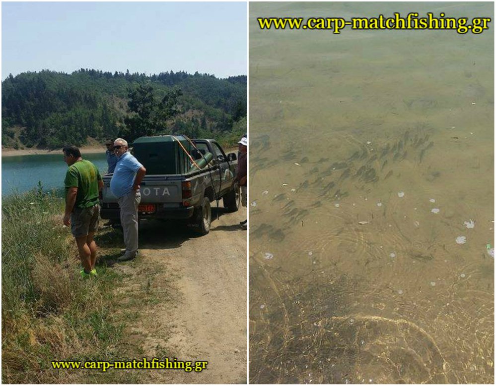 emploutismos-me-kuprinous-smokovo-lake-carpmatchfishing