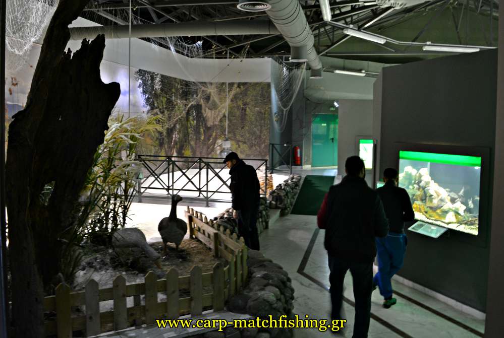 enydreio kastorias inside 2 carpmatchfishing