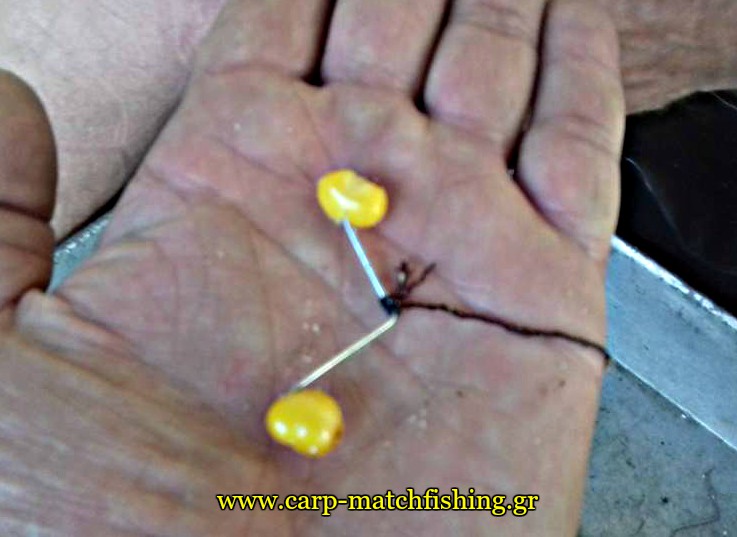 grozia-paranomo-ergaleio-psarematos-carpmatchfishing