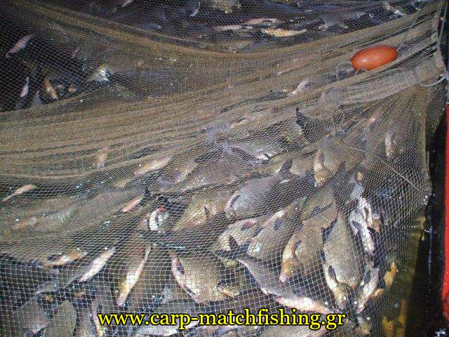 limni-kastorias-dixtya-paranomies-carpmatchfishing