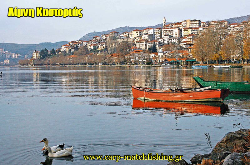 limni-kastorias-orestiadas-carpmatchfishing