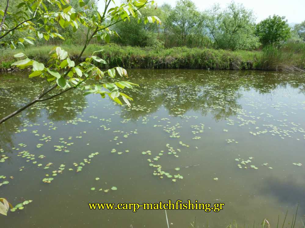 pamvotida-lake-carpmatchfishing