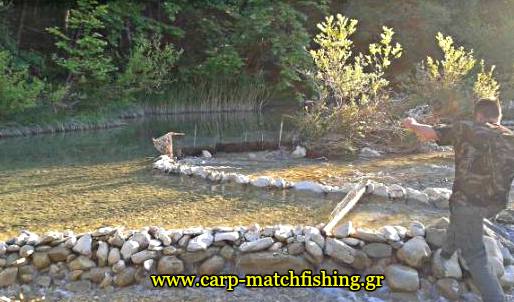 1-paranomo-fragma-gia-ichtiokaliergia-carpmatchfishing-
