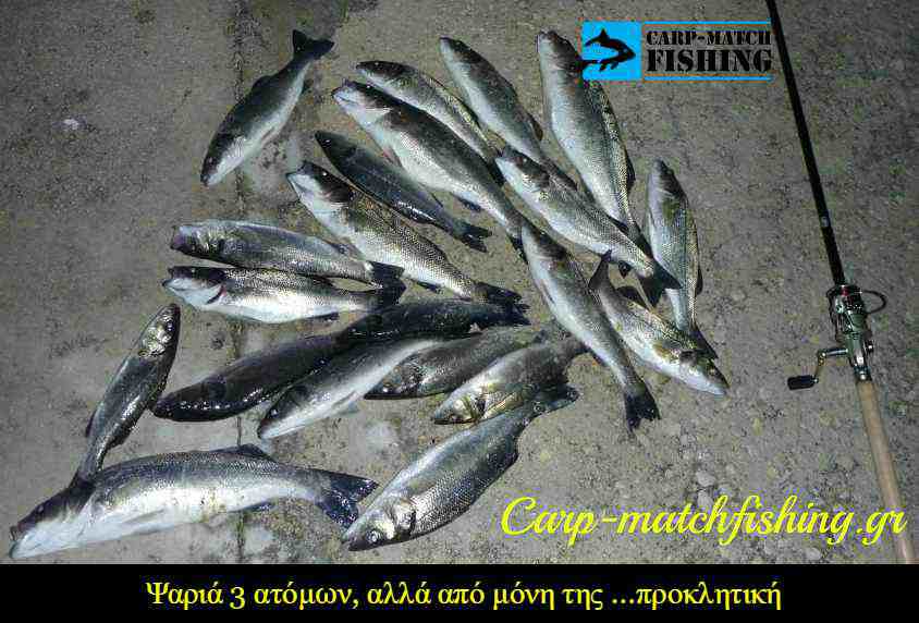 labrakia soros carpmatchfishing