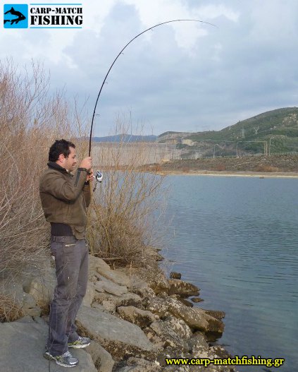 pestrofes rod curve big trout carpmatchfishing
