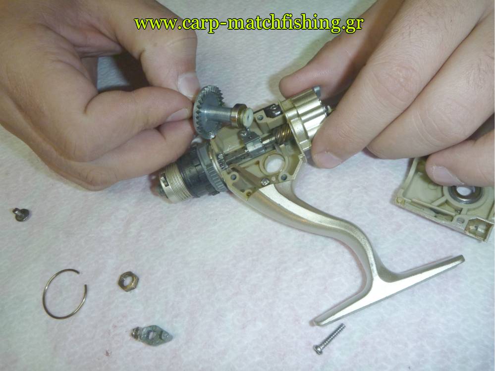 service-mixanismon-granazia-carpmatch.jpg