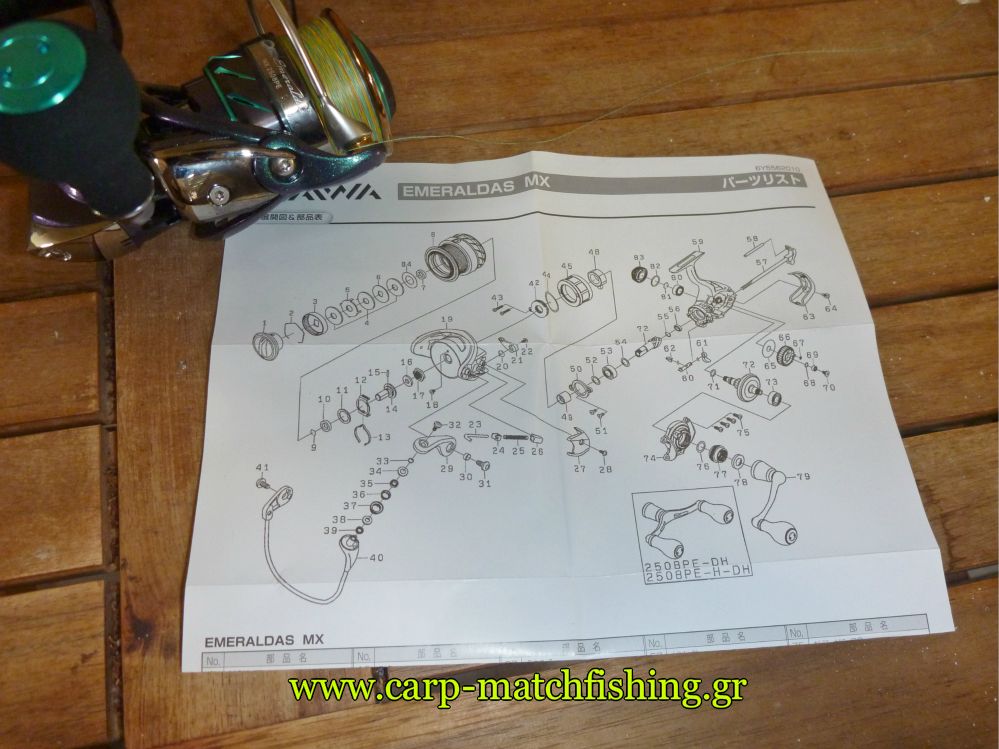 sxediagramma-mixanismou-eging-carpmatchfishing.jpg