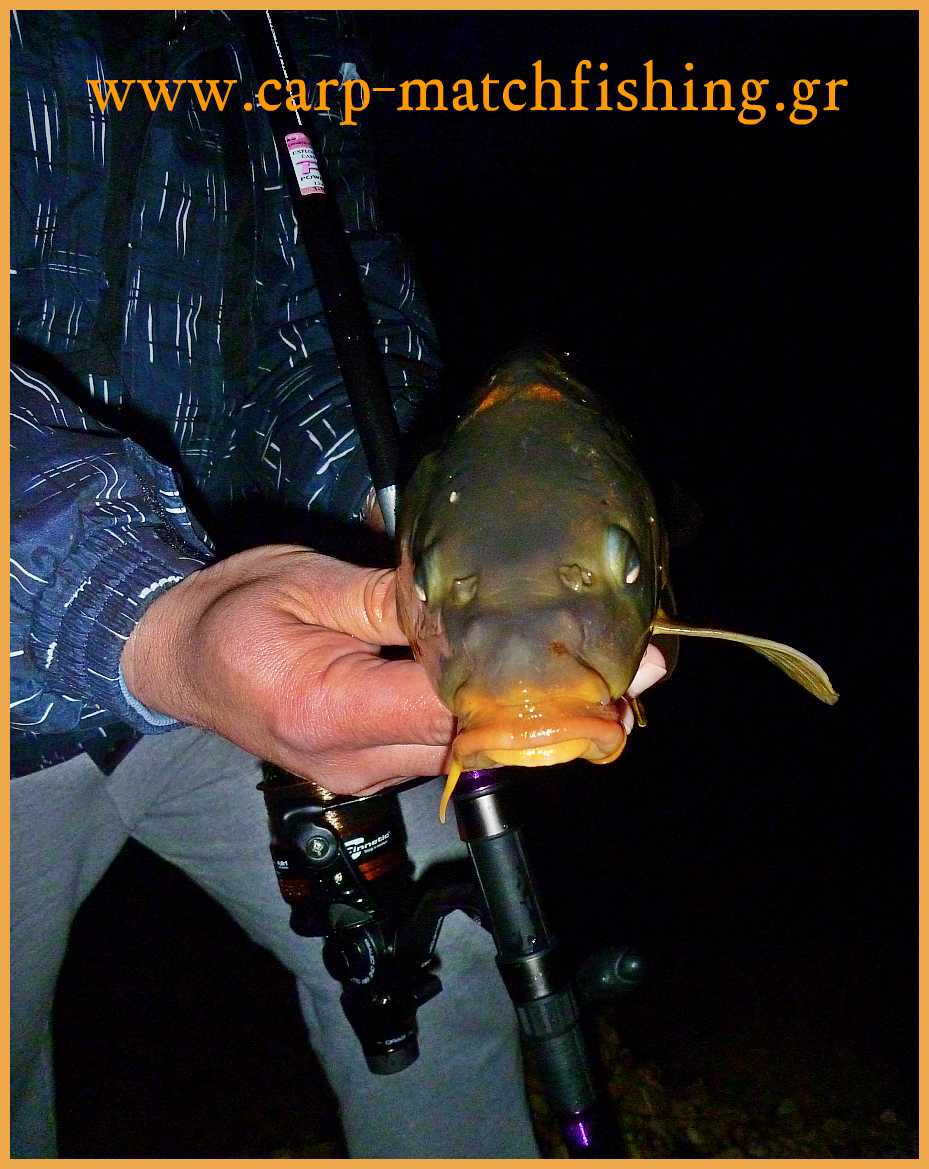 www.carp-matchfishing.gr . Δοκιμή ψαρευτικού εξοπλισμού για τον κυπρίνο, της εταιρείας Cinnetic